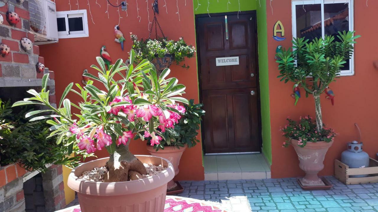 Terrakota Apartments يلمستاد المظهر الخارجي الصورة
