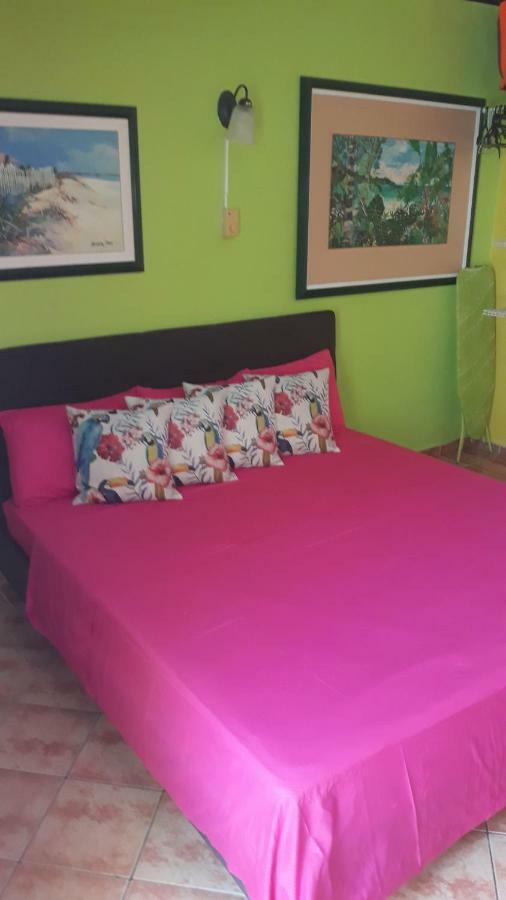 Terrakota Apartments يلمستاد المظهر الخارجي الصورة